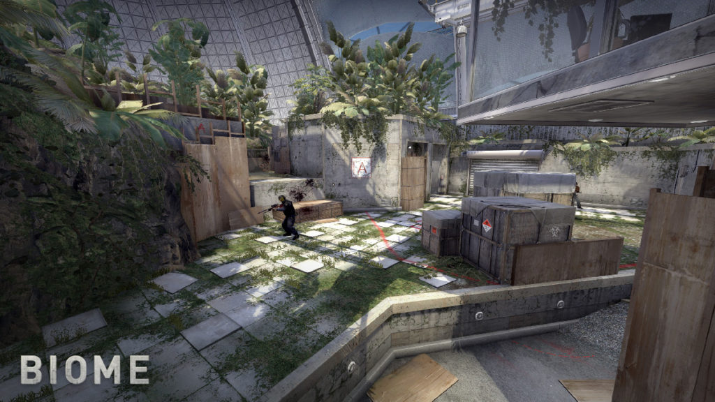 Counter-Strike Biome 2