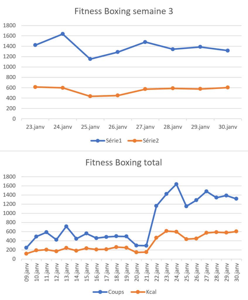 Fitness boxing excel sheet
