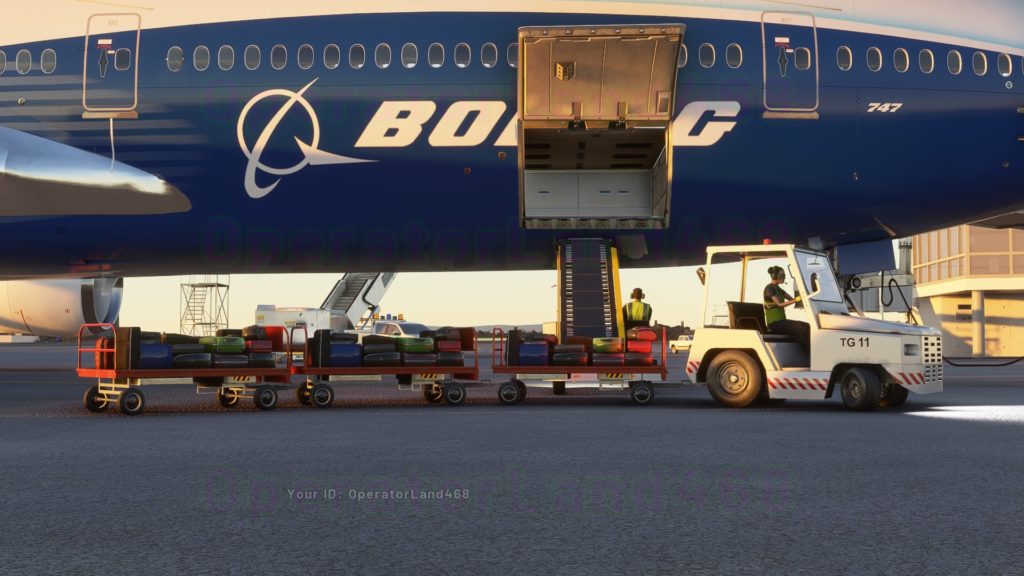 Flight Simulator