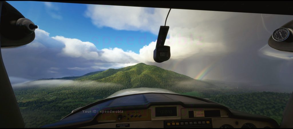 Flight Simulator