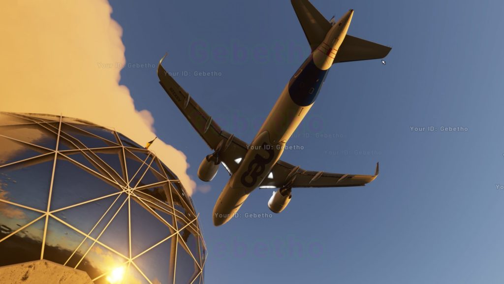 Flight Simulator