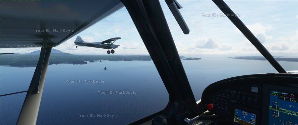 Flight Simulator