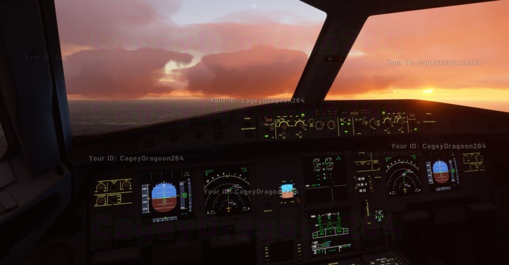 Flight Simulator