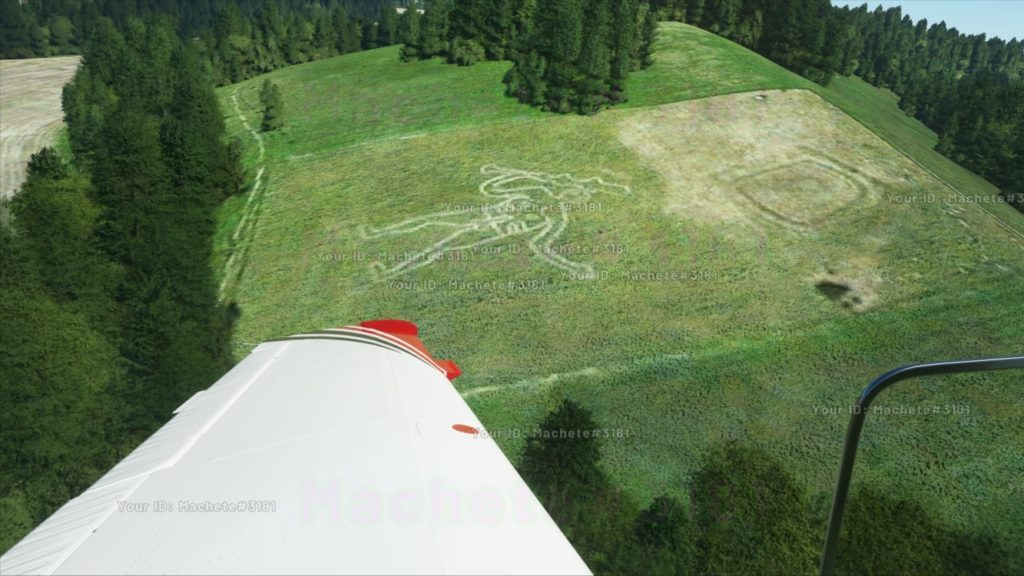 Flight Simulator