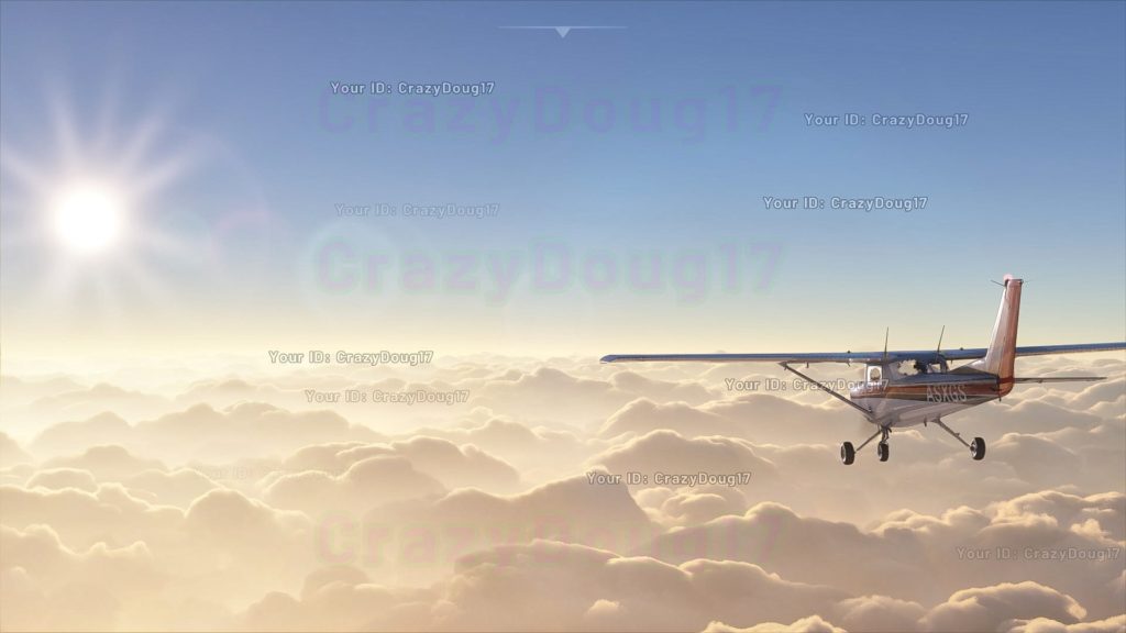 Flight Simulator