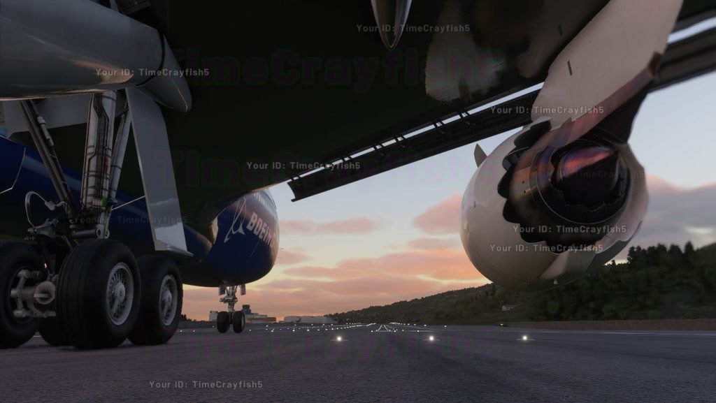Flight Simulator