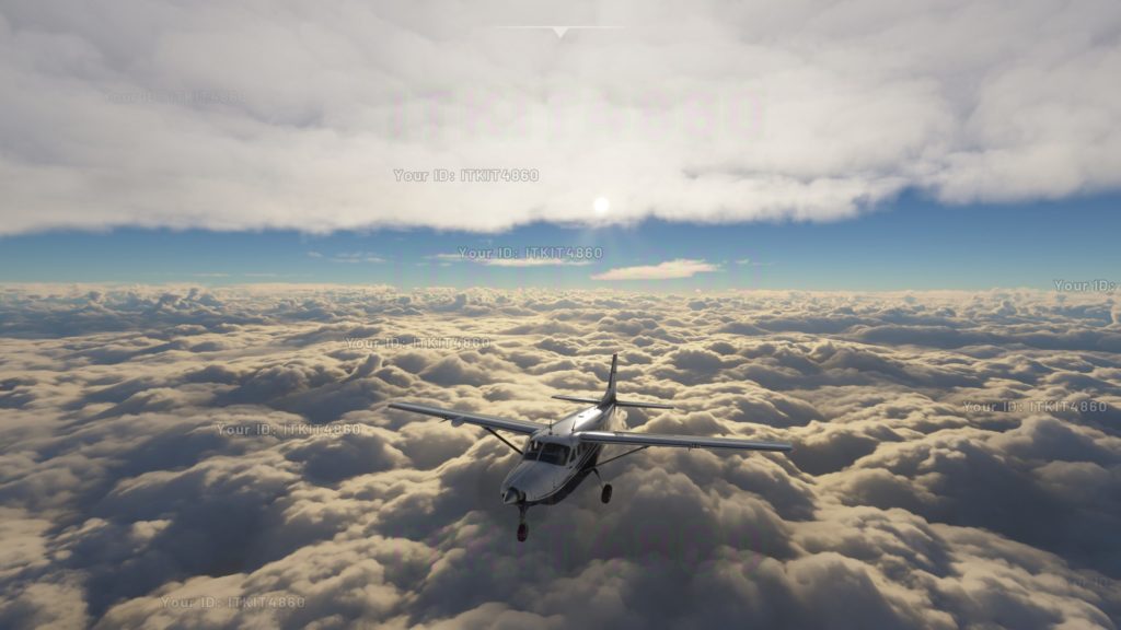 Flight Simulator