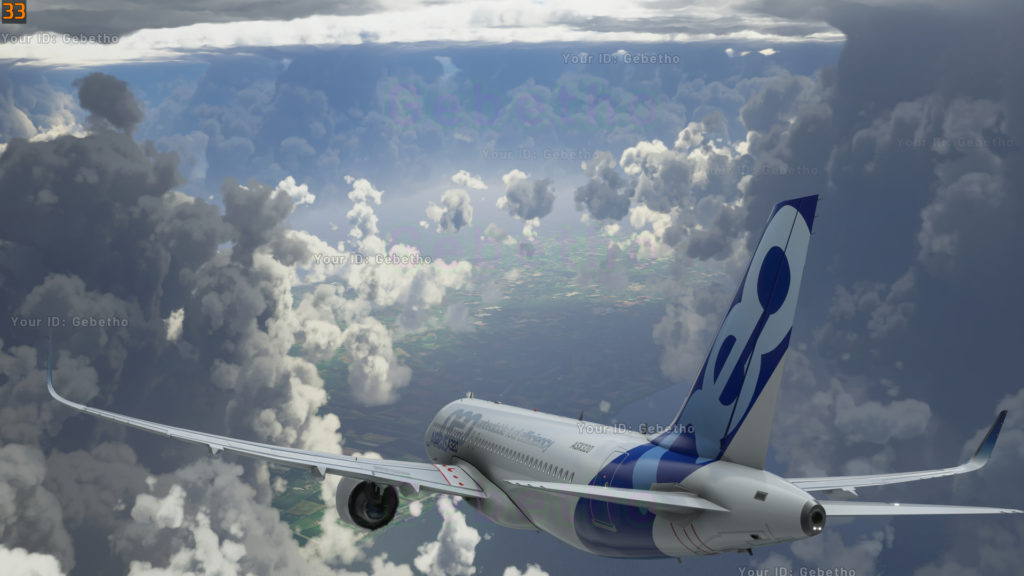 Flight Simulator