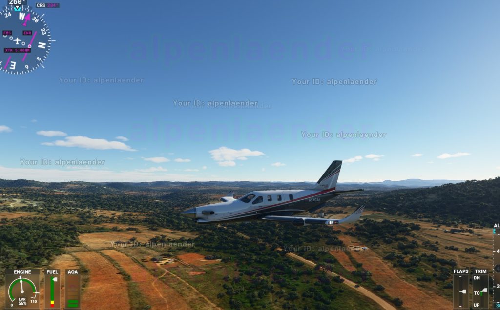 Flight Simulator