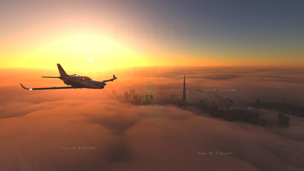 Flight Simulator