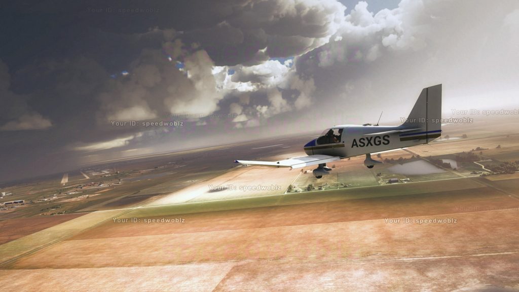 Flight Simulator