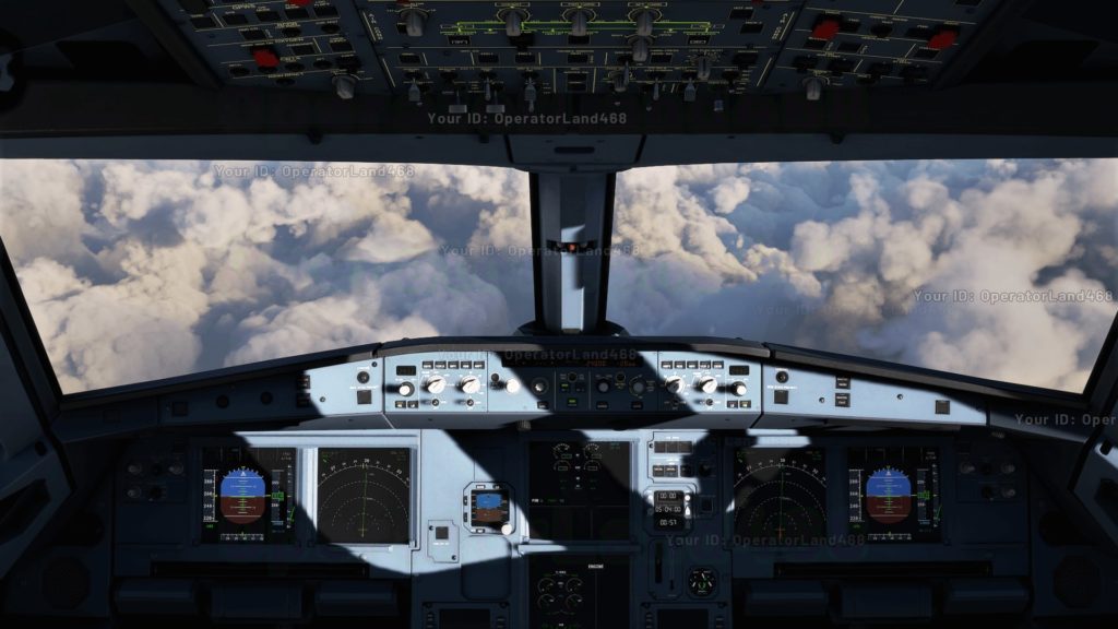 Flight Simulator