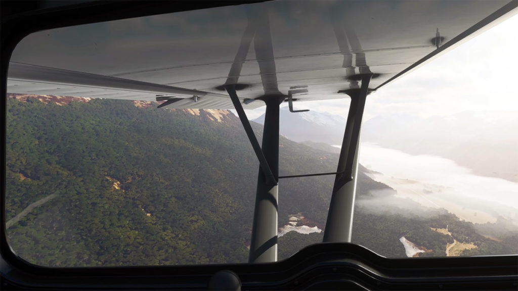Microsoft Flight Simulator