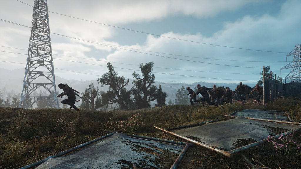 Days Gone, Steam, configurations, images PC