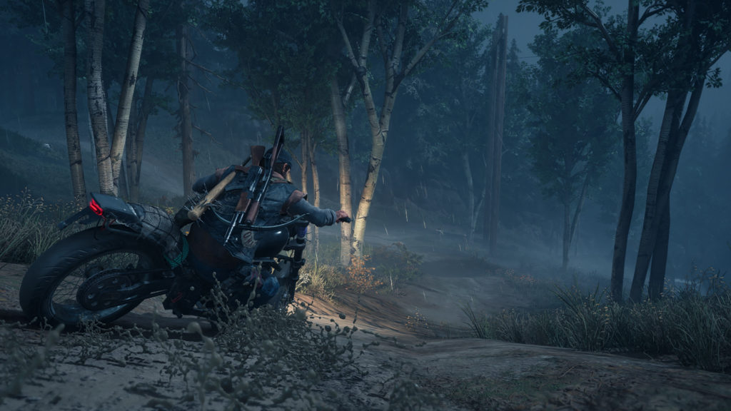 Days Gone, Steam, configurations, images PC