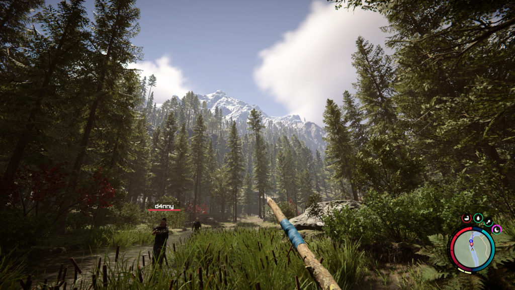 Test – Sons of The Forest paysage