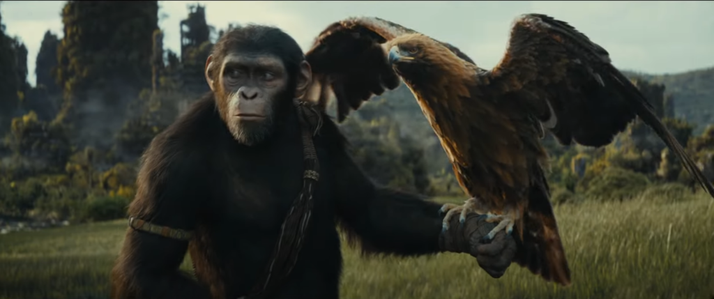 [UP] Kingdom of the Planet of the Apes : Voici le trailer