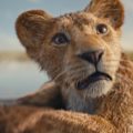 Mufasa : Le préquel du "Roi Lion" se dévoile