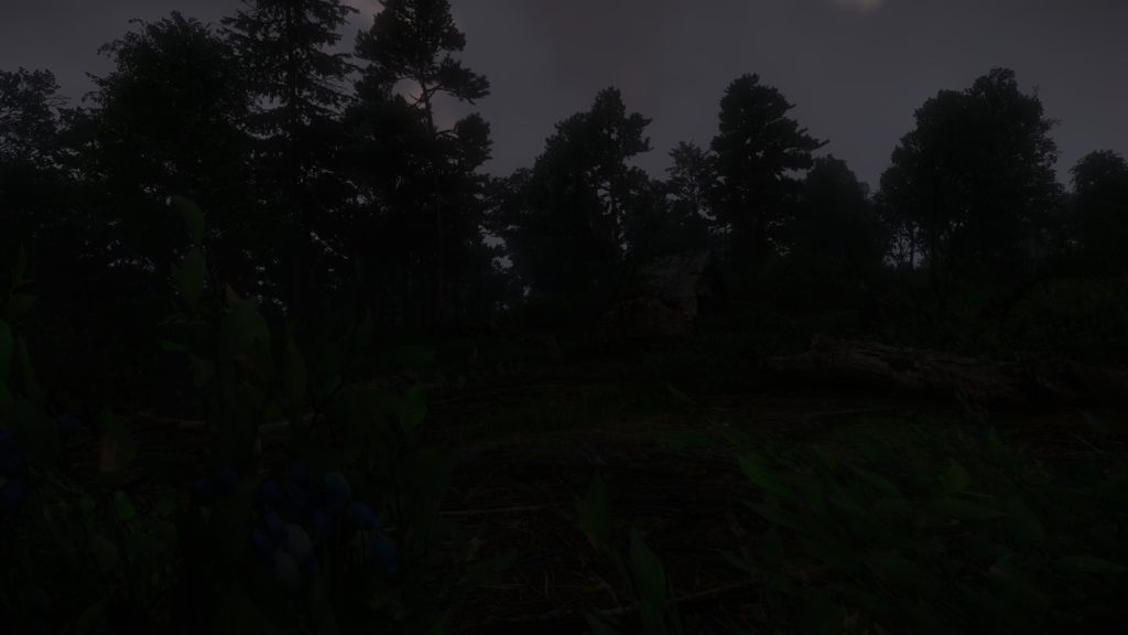 TEST - Kingdom Come Delivrance 2, Warhorse le Rockstar des pays de l'Est ?
